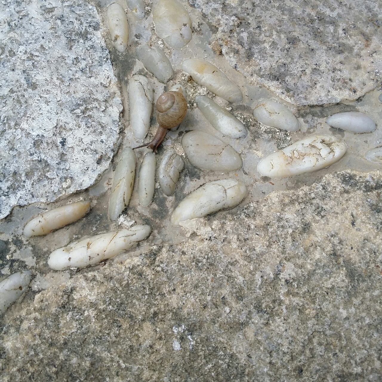 旅途中的美景美食