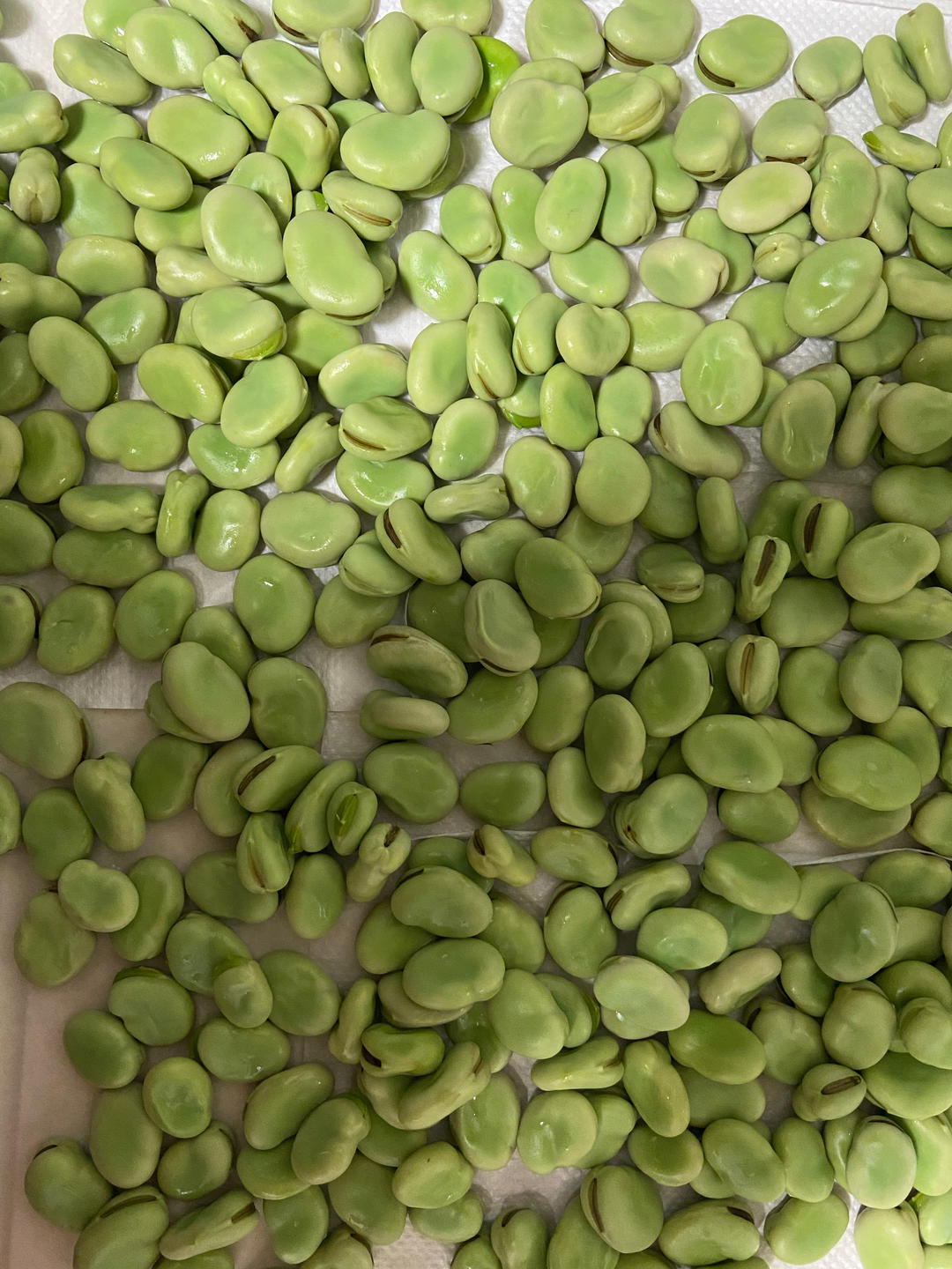 蚕豆保鲜