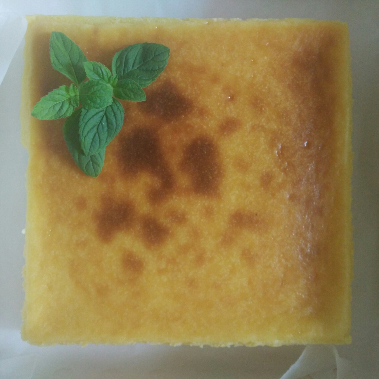 【柴田武】米曲乳酪