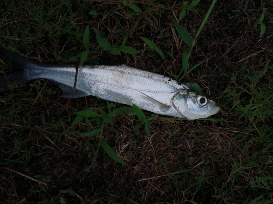 卤味斋