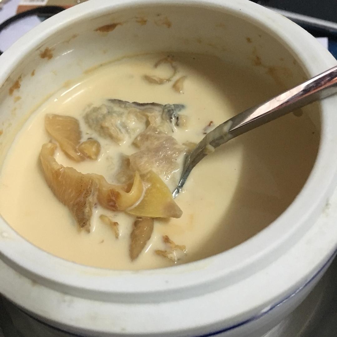 花胶炖牛奶汤