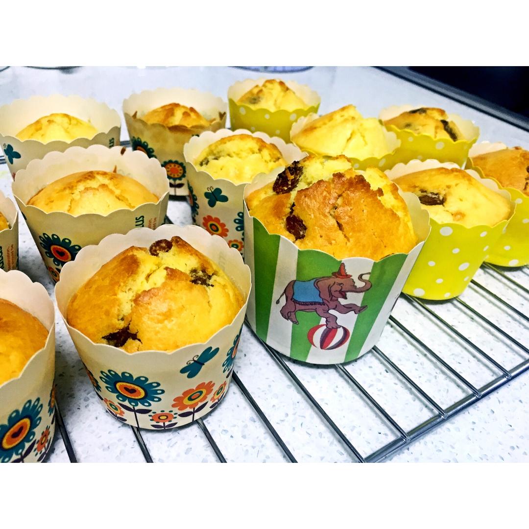 0失败的葡萄干麦芬