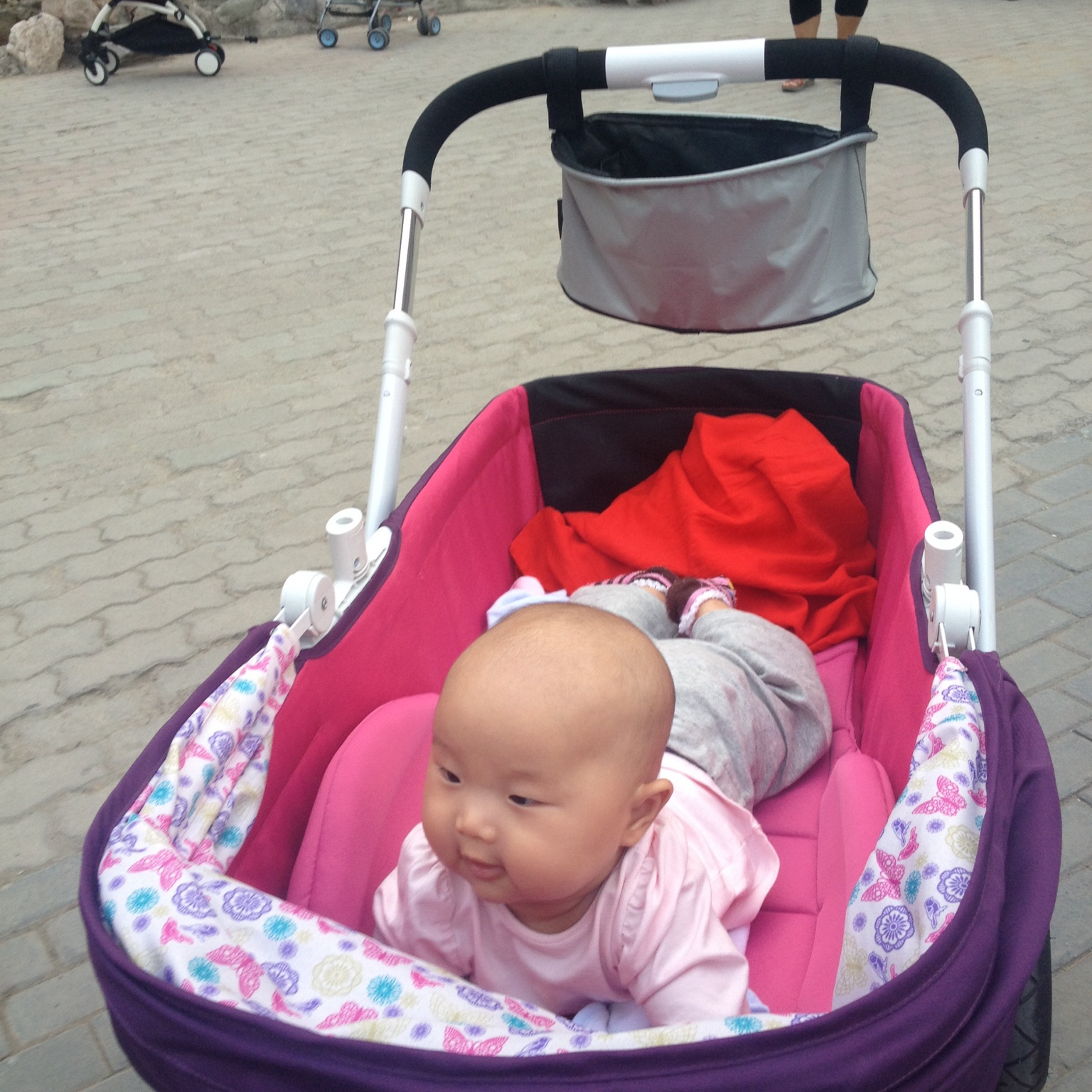 手机用户6559_a23n