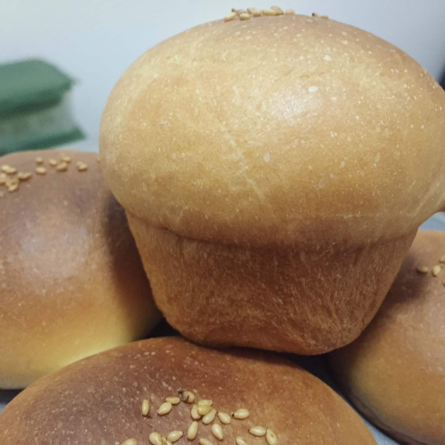 鲜奶油小餐包（一次发酵）