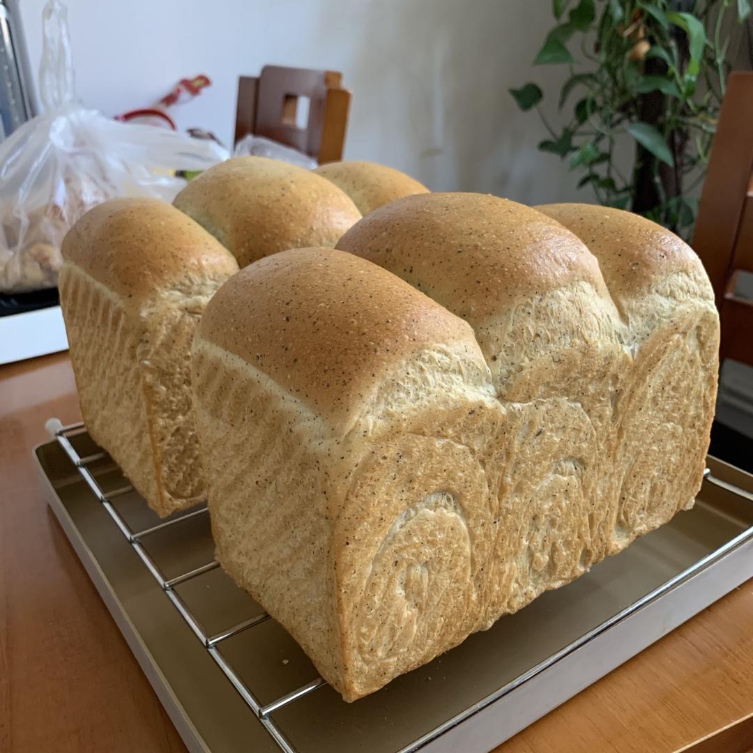 又香又软又拉丝，咬一口奶香十足！超治愈的淡奶油波兰种小餐包