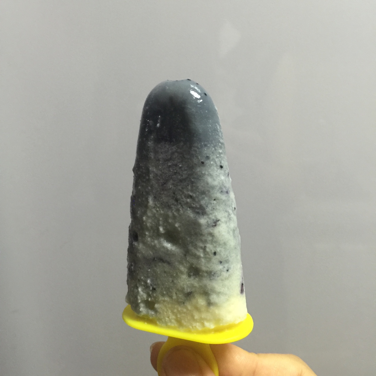自制哈根达斯风味的冰淇淋
