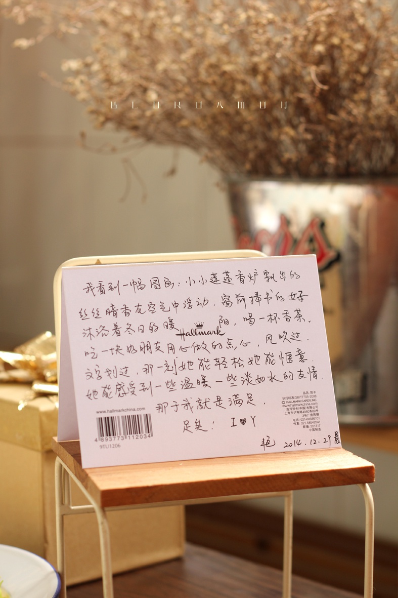 我们都爱毛孩子