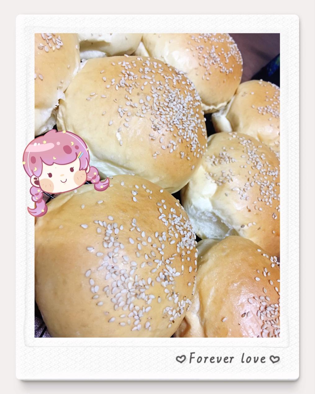 汉堡胚 poolish（波兰种）