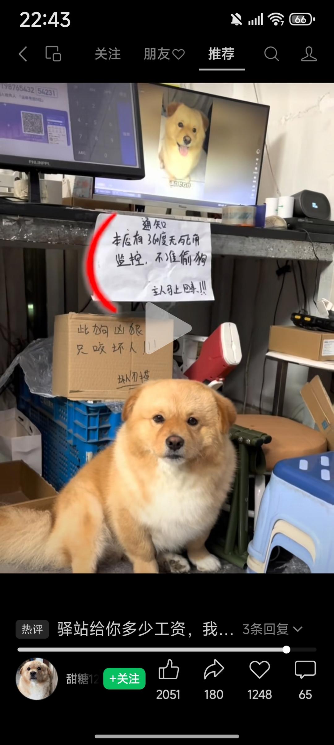 排骨米饭龙骨汤汁+长沙米粉