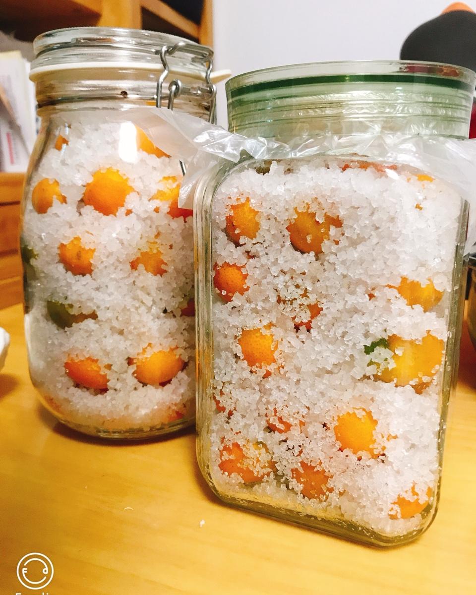 宝兰色88做的咸金桔