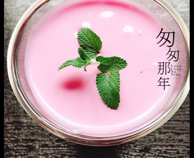 红心火龙果自制酸奶