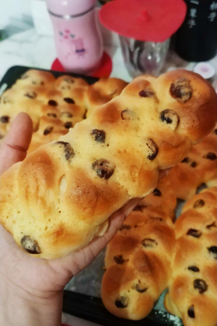 奶酥辫子面包（酸奶老面包）