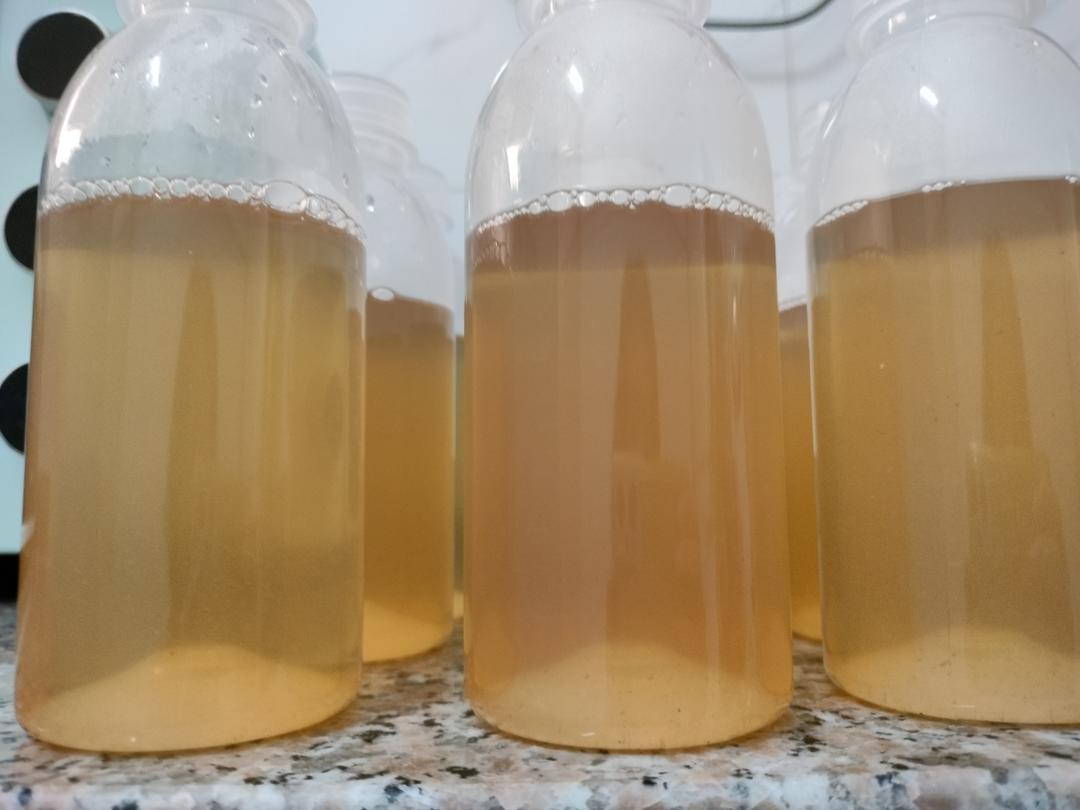海底椰雪梨膏