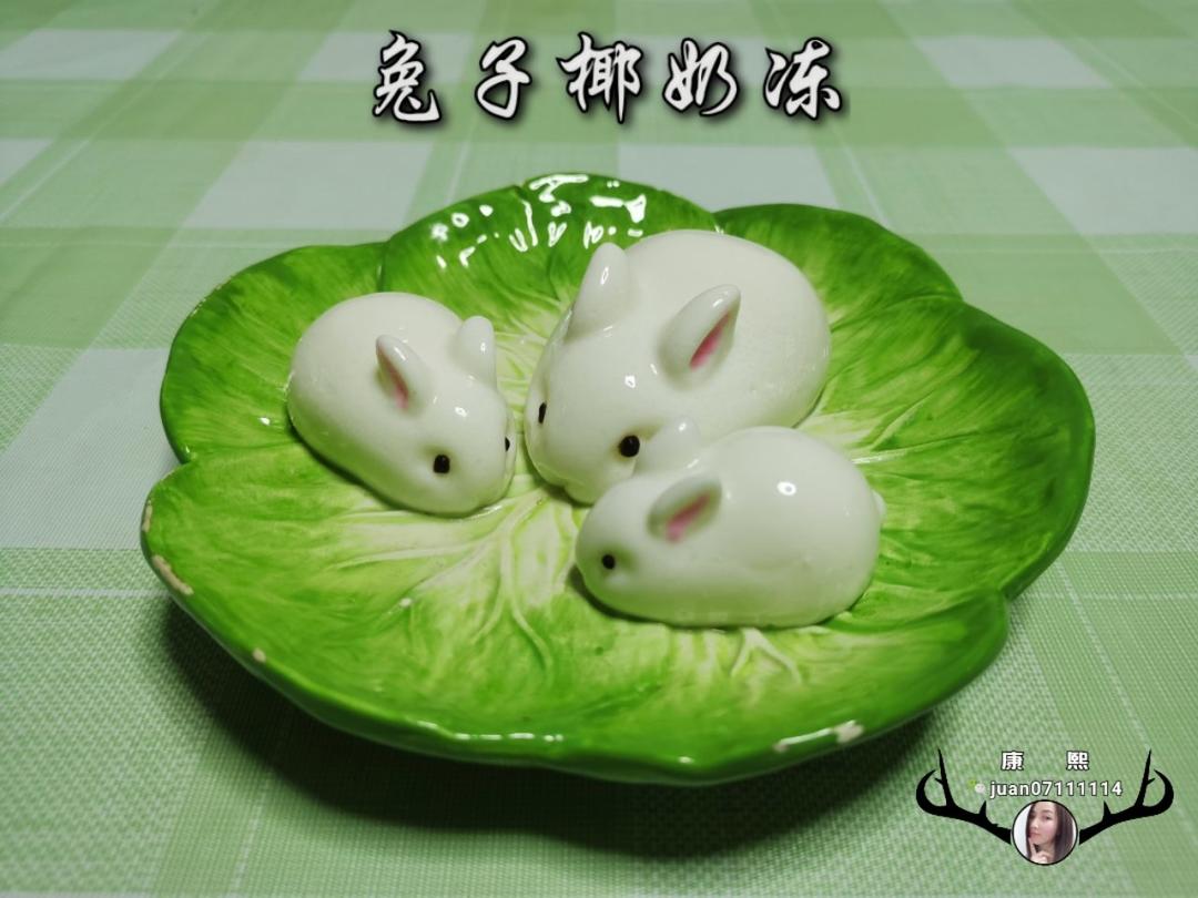 网红小兔子布丁