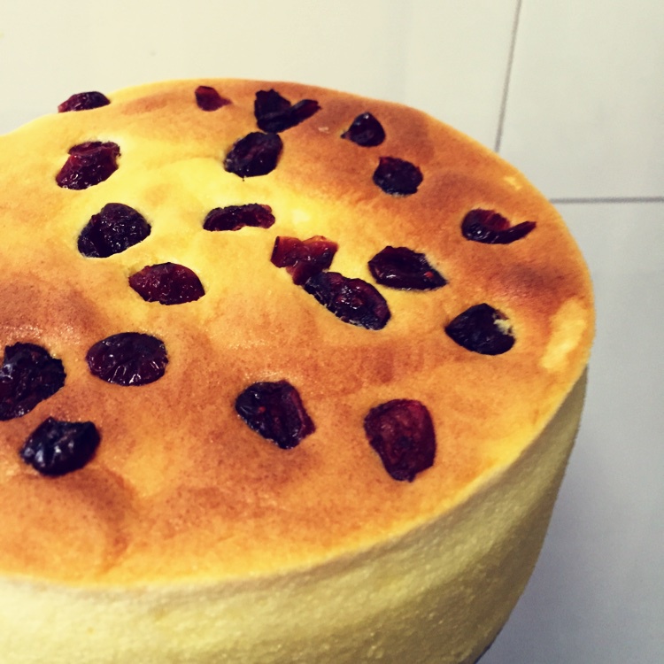 蛇蝎恐龙做的蔓越莓酸奶蛋糕