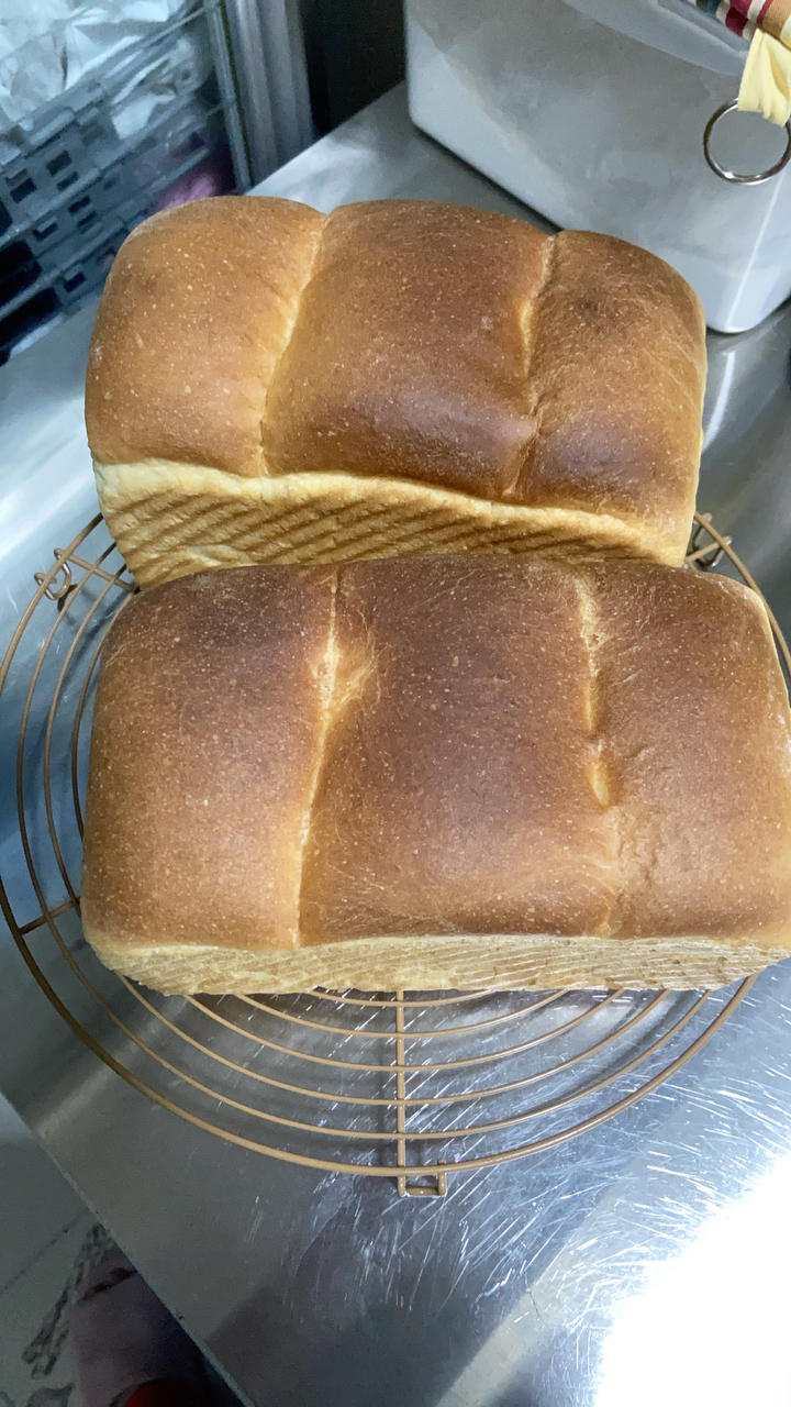 北海道炼乳吐司🍞满口奶香💭极致绵软