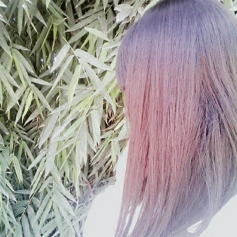 獨釣寒江的厨房