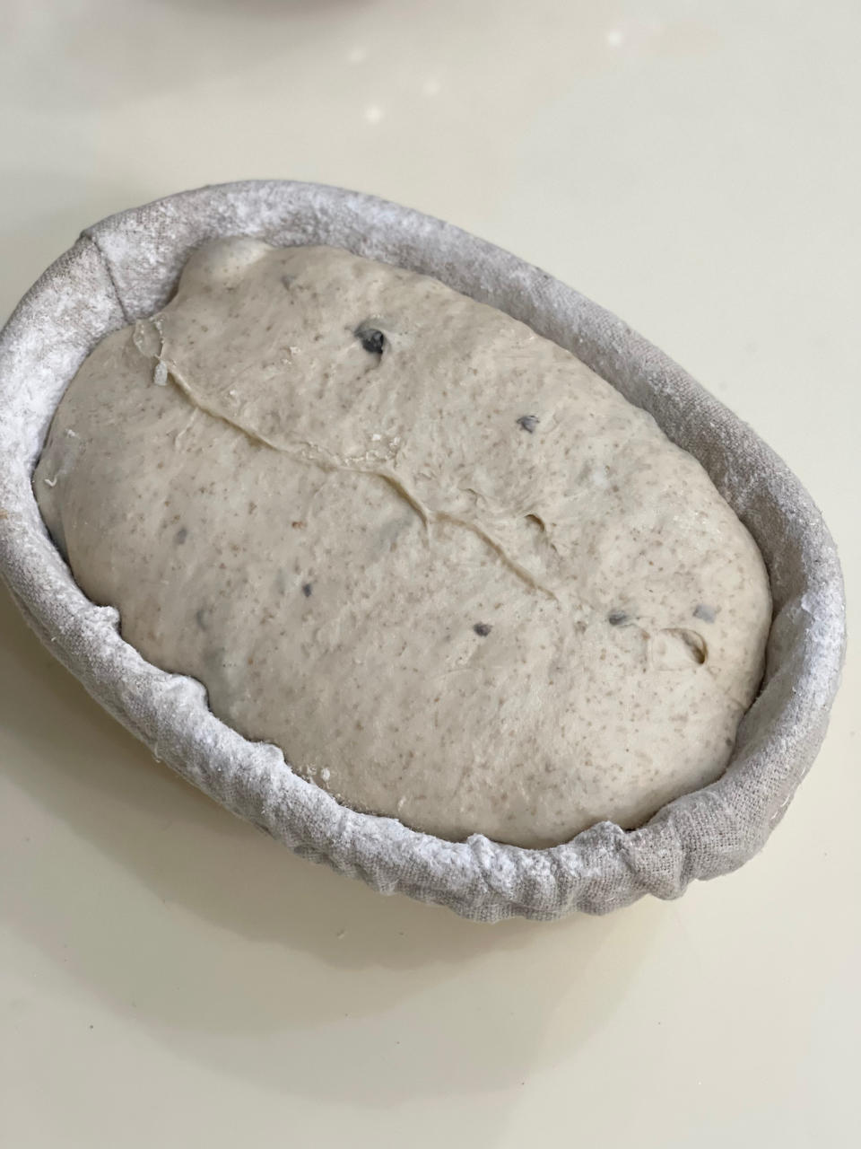 天然酵母版橙皮巧克力乡村欧包（大气孔爱好者福音）