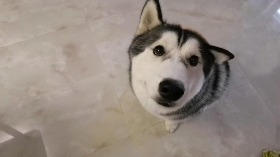 很可惜我没有昵称