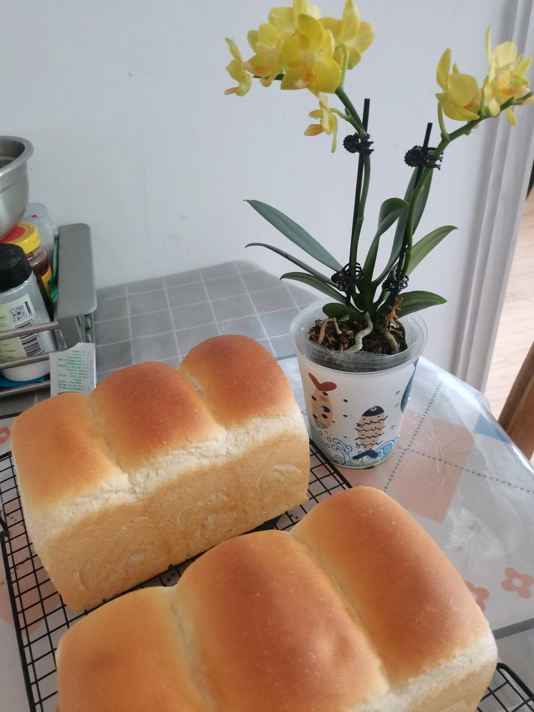 酸奶咸味白吐司