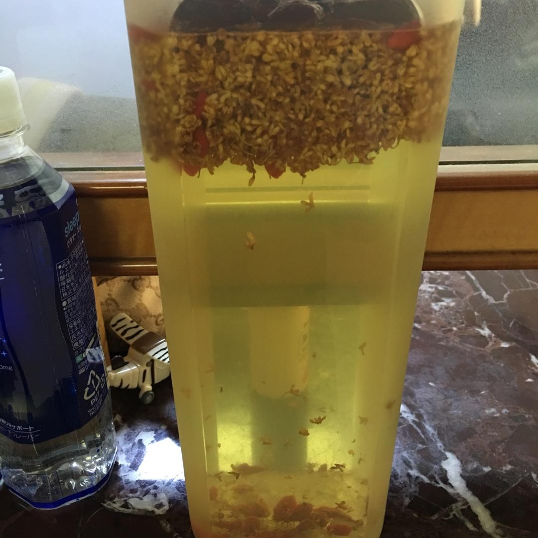 重阳桂花酒