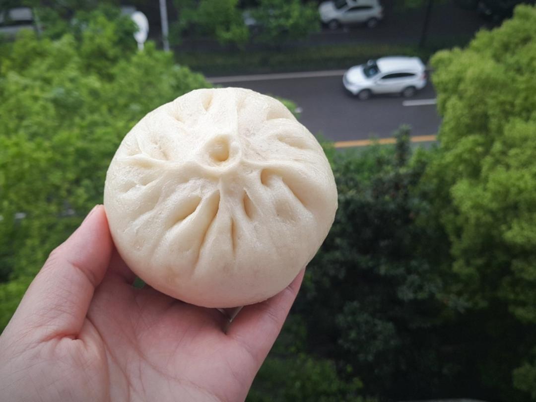 【曼食慢语】鲜肉包子