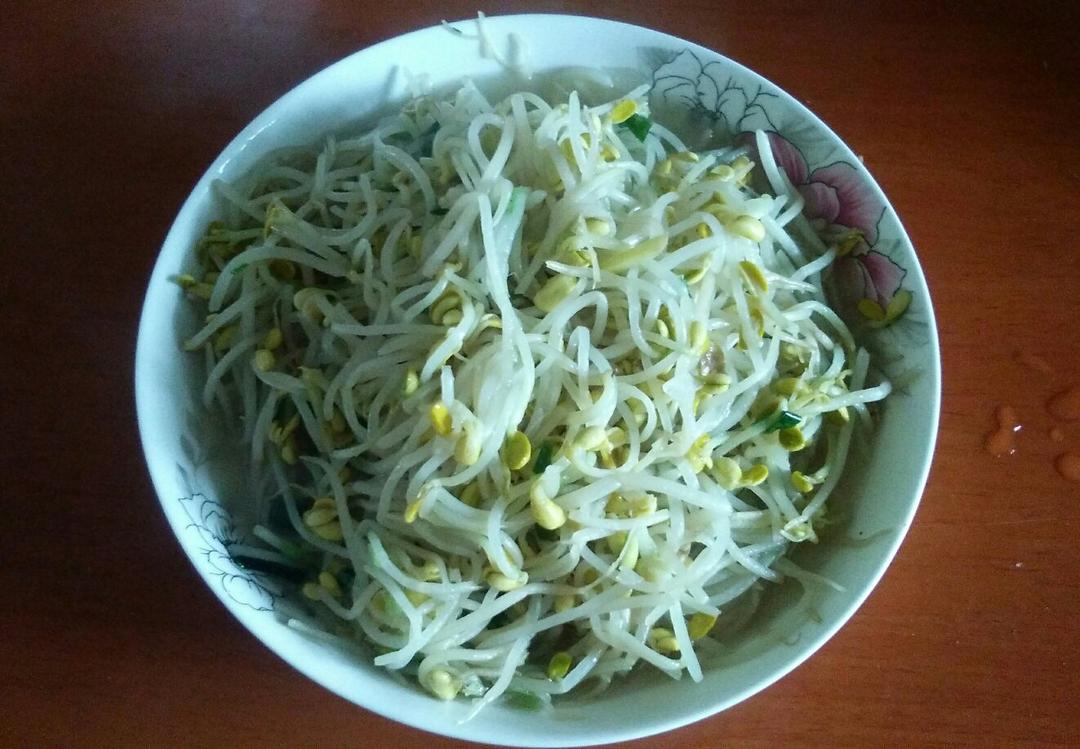 素炒豆芽