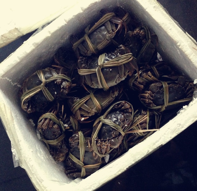 清蒸大闸蟹