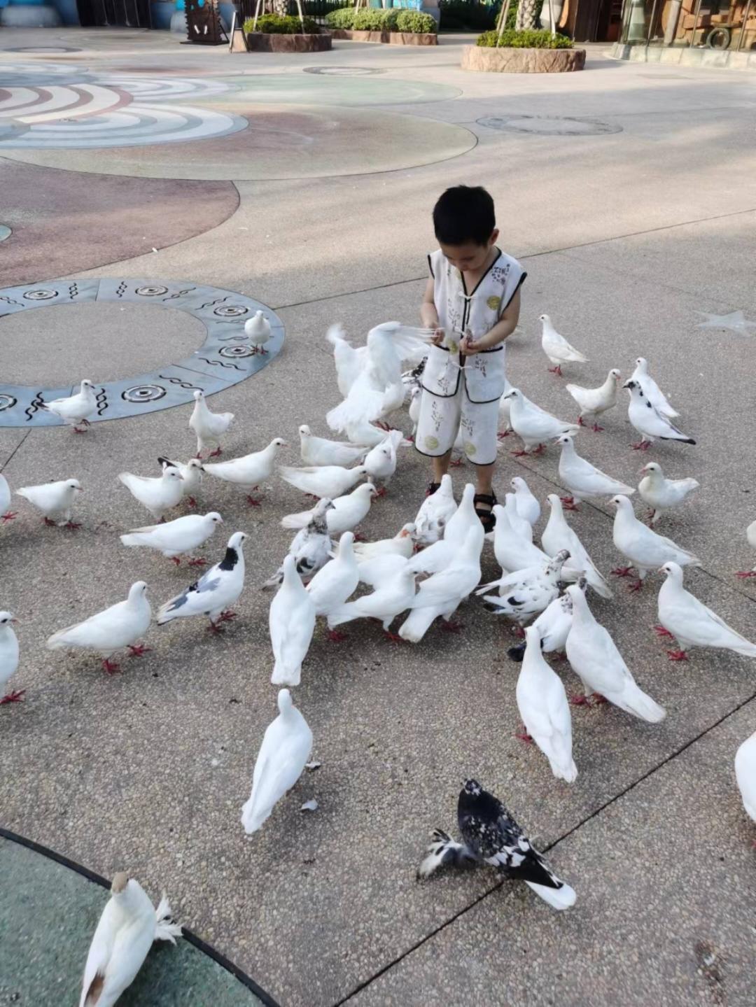 下厨房用户_tfxye