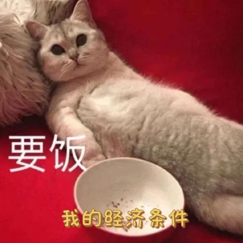 2022上海抗疫菜谱