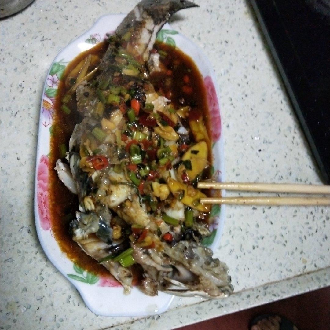 红烧草鱼（鲫鱼、鲈鱼都适用）