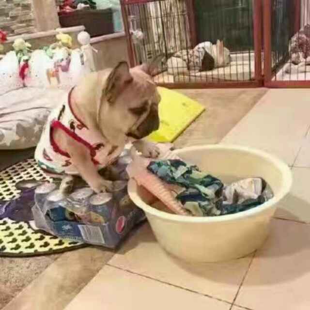 隨時接受挑戰灬