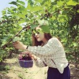 泡沫的勇敢世界