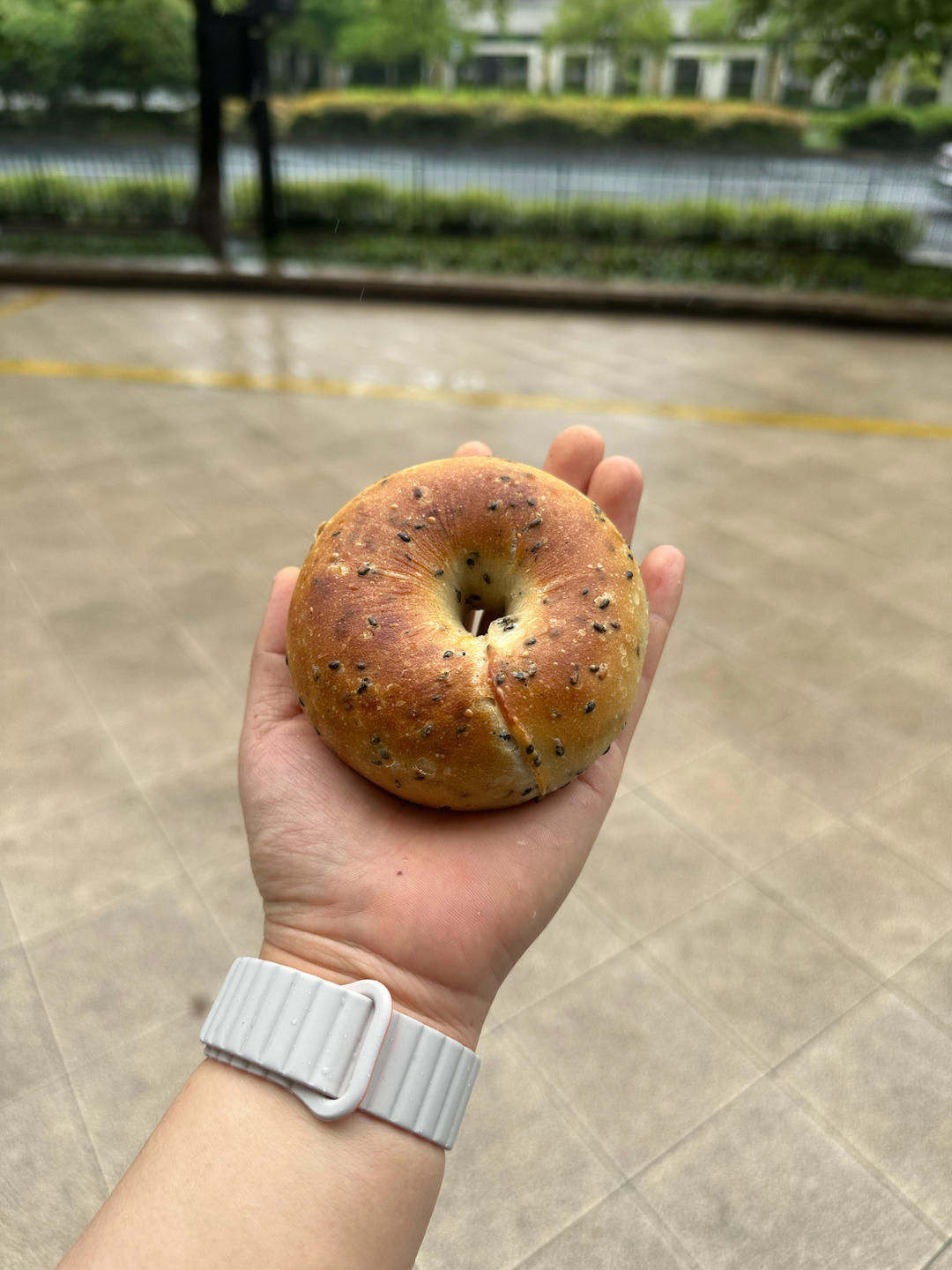 低糖无油燕麦贝果
