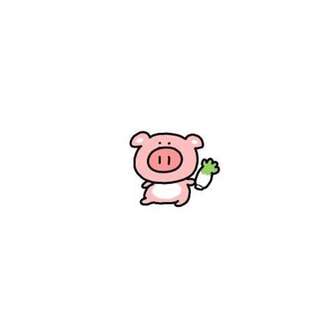 一只圆猪
