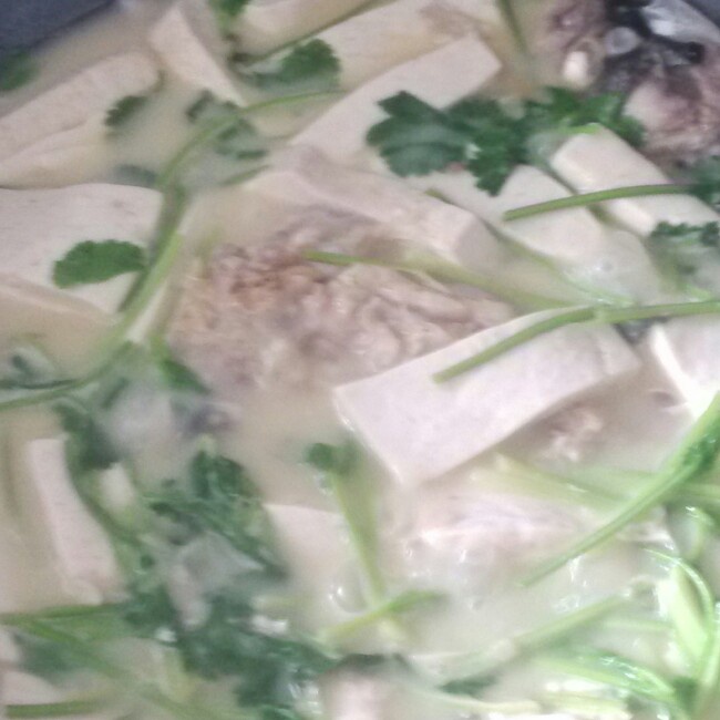 鱼头豆腐汤