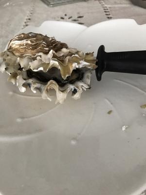 生蚝（海蛎子）巧去壳的做法 步骤3