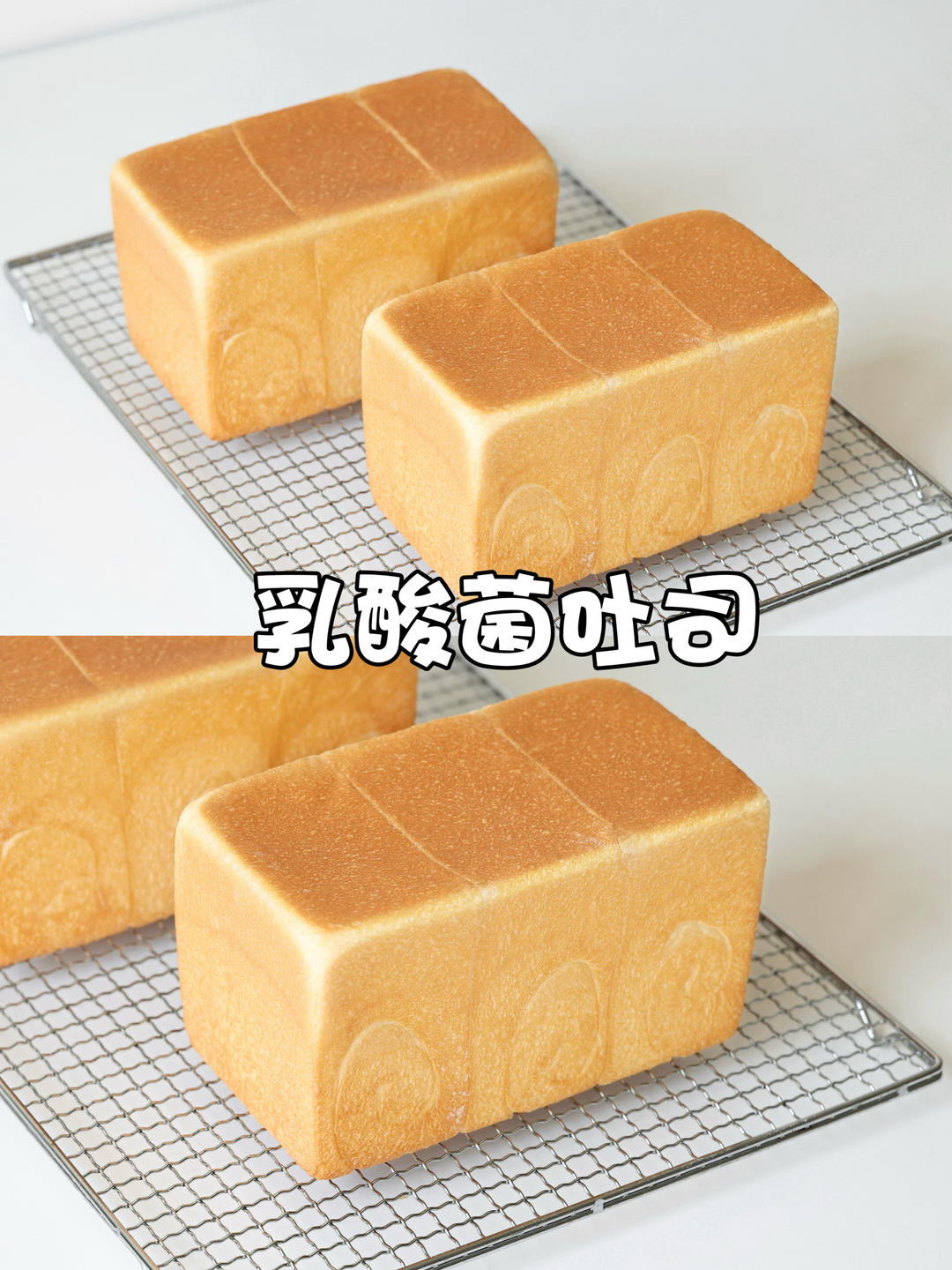 乳酸菌吐司｜清新柔和