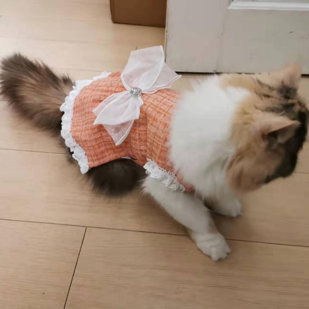Tinyibaby
