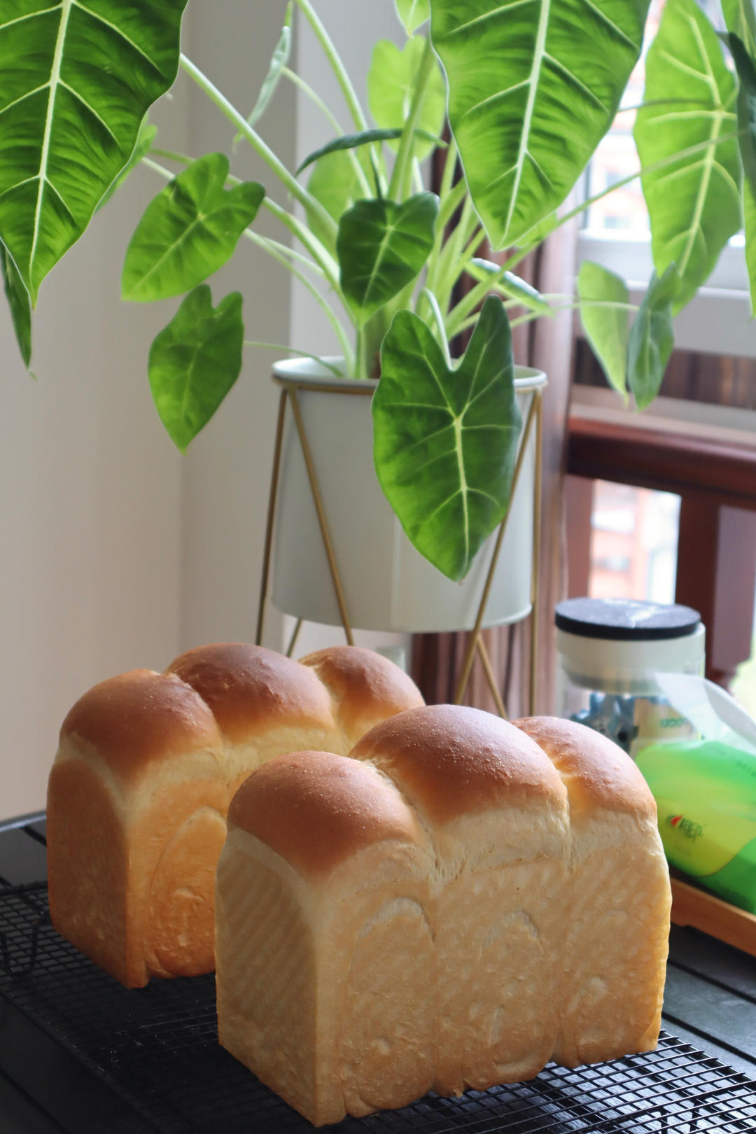 蜂蜜蛋黄软吐司🍞又香又软，爆发力超强