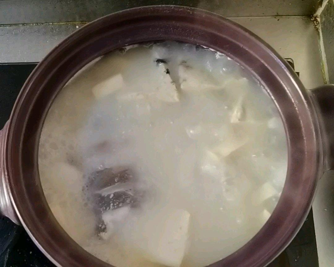 奶白鲫鱼豆腐汤（适合小朋友，孕妇喝）