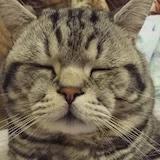 小_JJ
