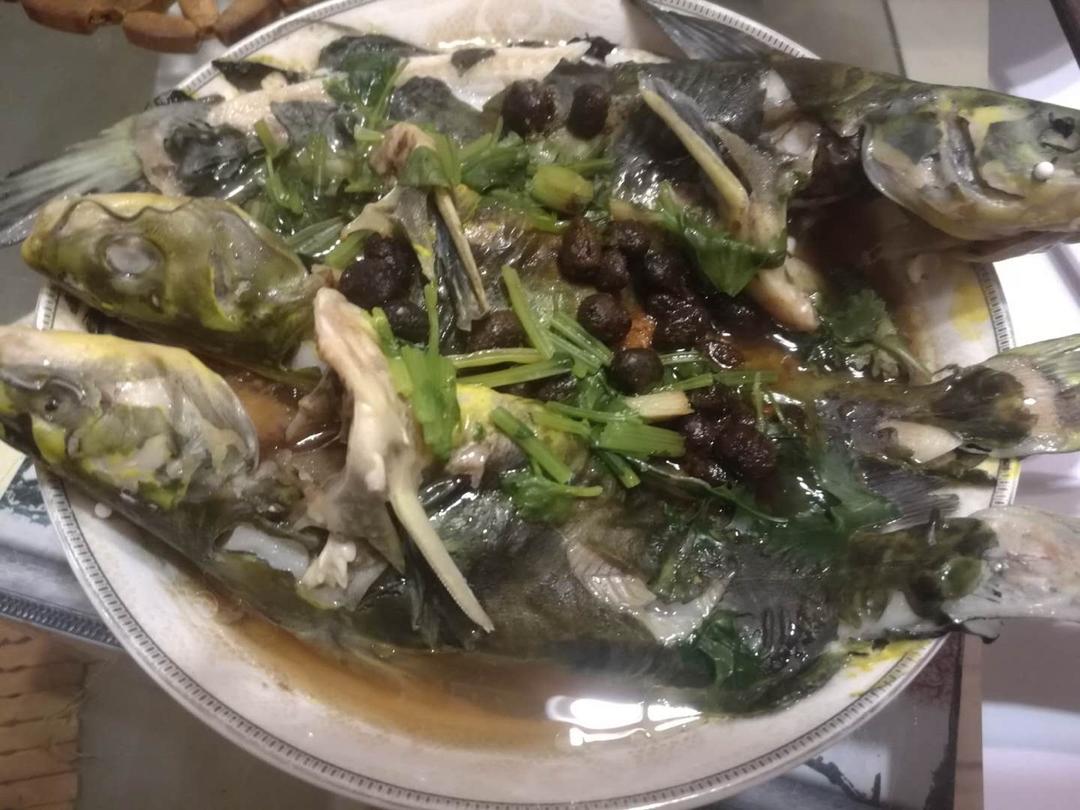 蒸鱼的正确方式
