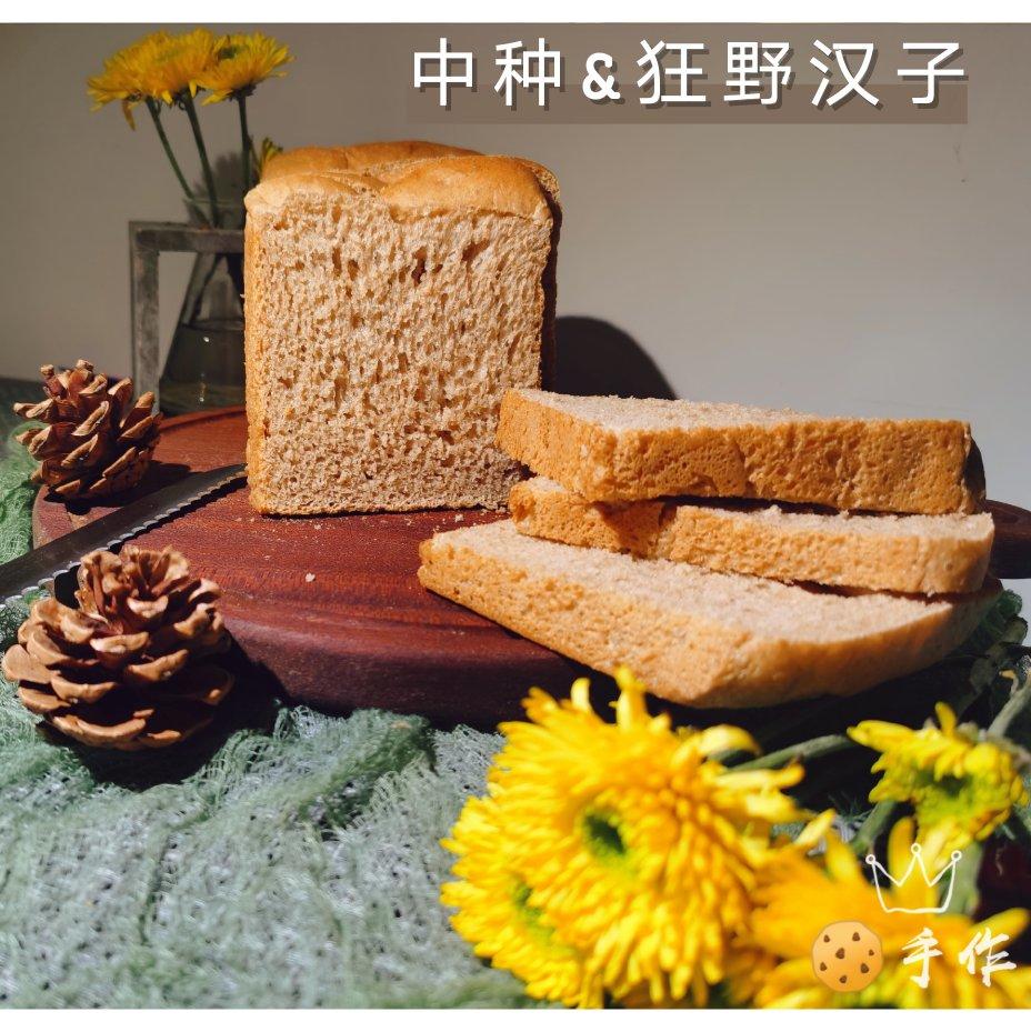 100%真•全麦吐司