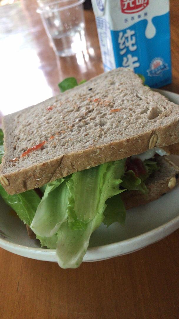 减肥期间饮食记录