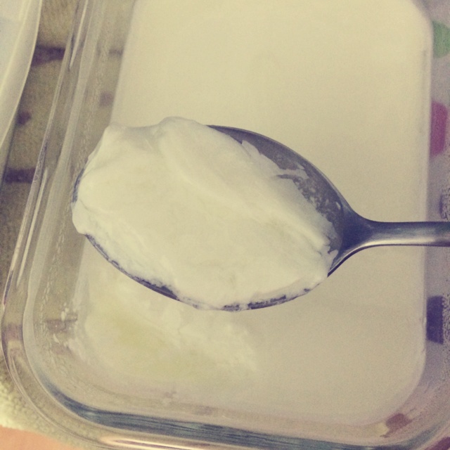 烤箱酸奶（长帝+川秀）
