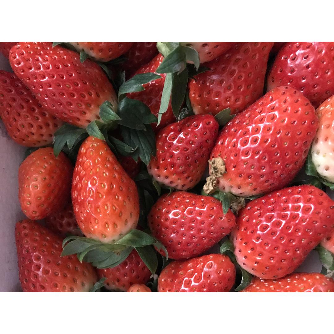 新鲜大草莓