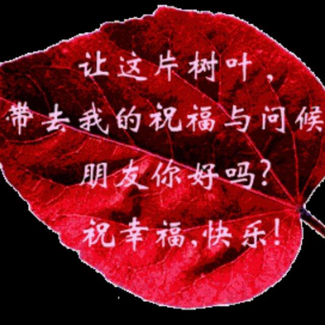 快乐日子2