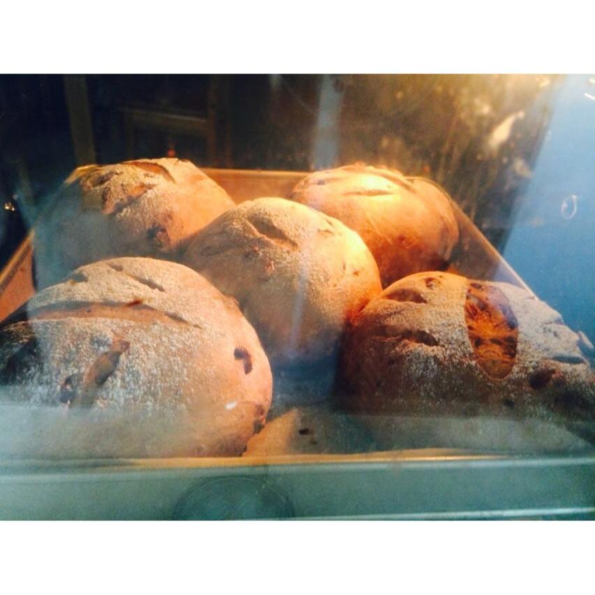 巧克力蔓越莓软欧 Rano Bread