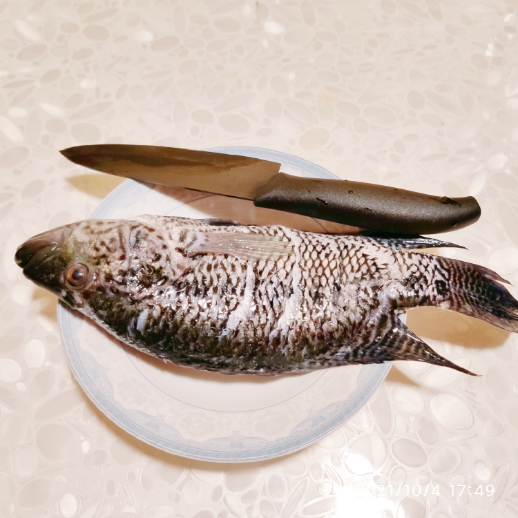【吃鱼】超级下饭——红烧珍珠斑的做法 步骤2